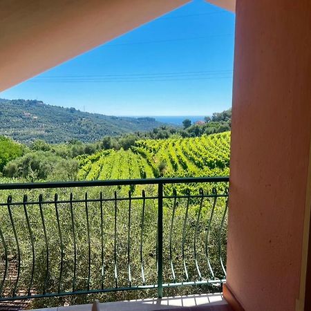Agriturismo Ada Musso Ss Diano Borello Екстериор снимка