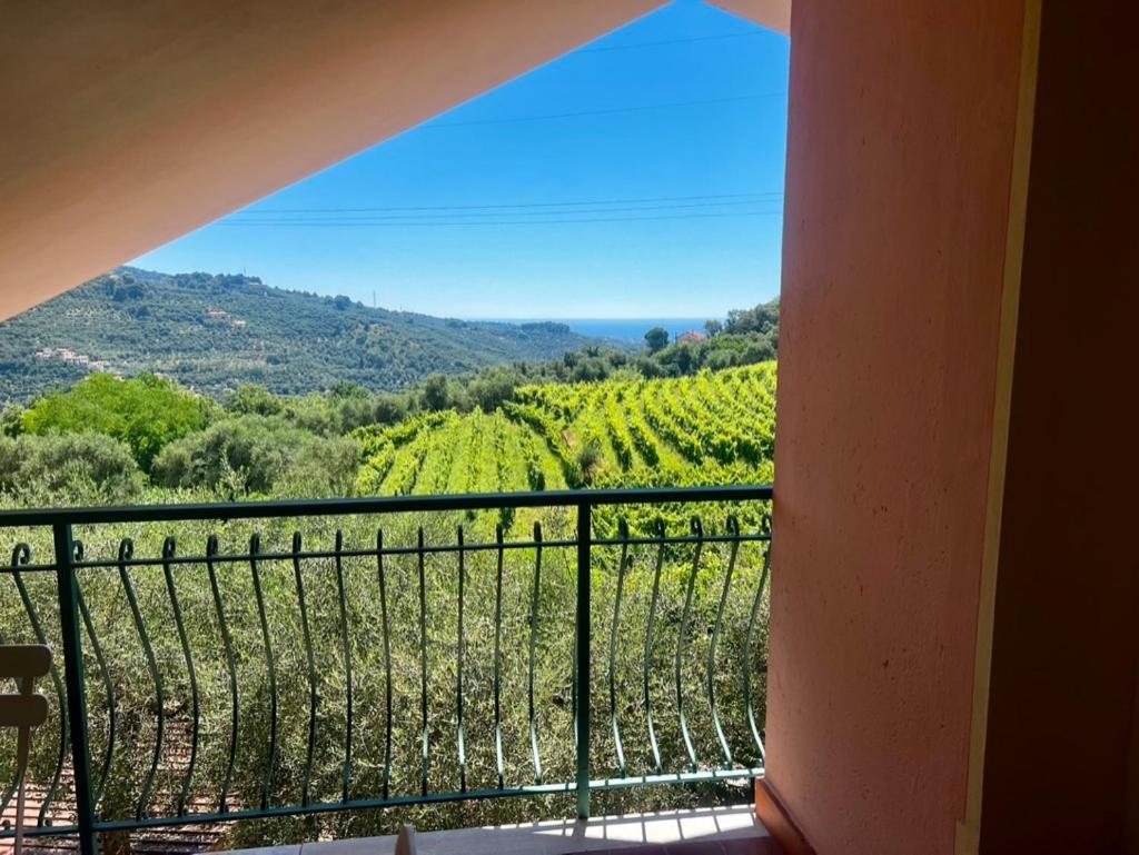 Agriturismo Ada Musso Ss Diano Borello Екстериор снимка