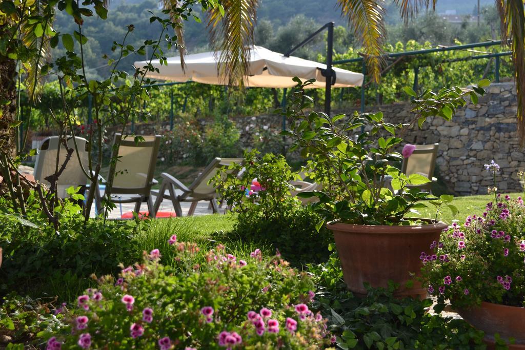 Agriturismo Ada Musso Ss Diano Borello Екстериор снимка