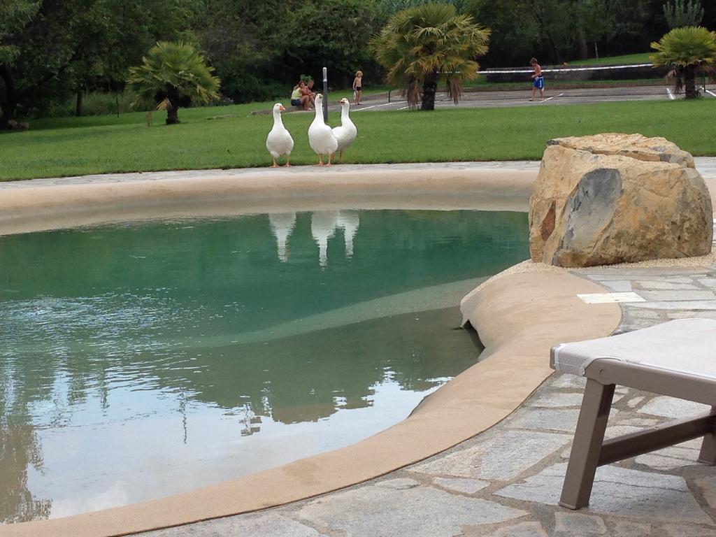 Agriturismo Ada Musso Ss Diano Borello Екстериор снимка