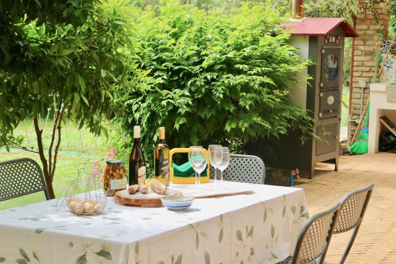 Agriturismo Ada Musso Ss Diano Borello Екстериор снимка