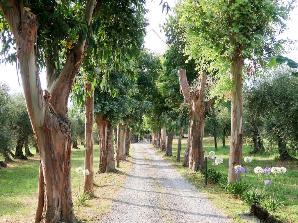 Agriturismo Ada Musso Ss Diano Borello Екстериор снимка