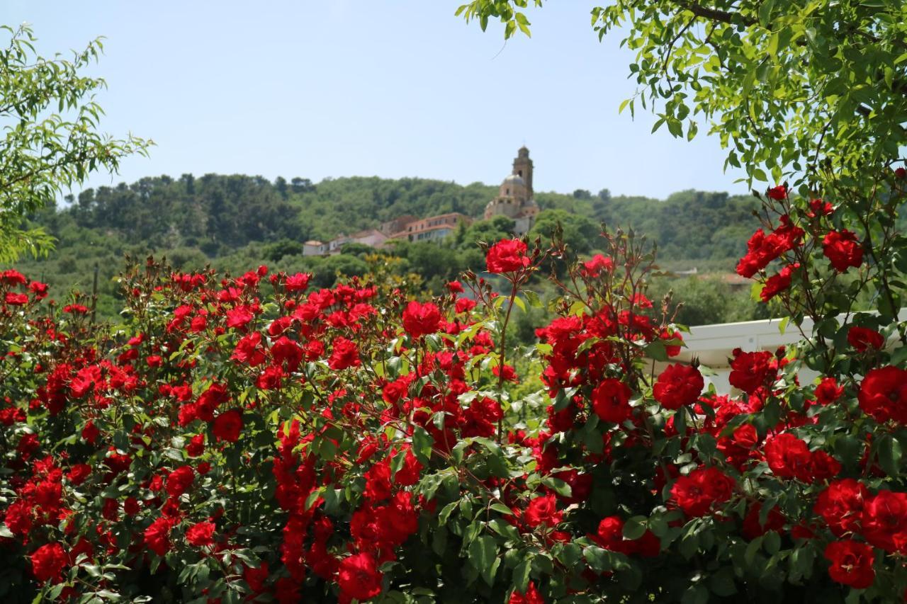 Agriturismo Ada Musso Ss Diano Borello Екстериор снимка